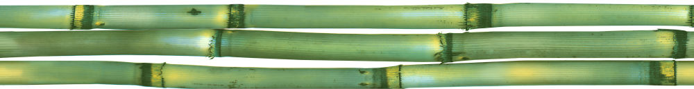  Canas De Bambu Listwa B производителя CERROL