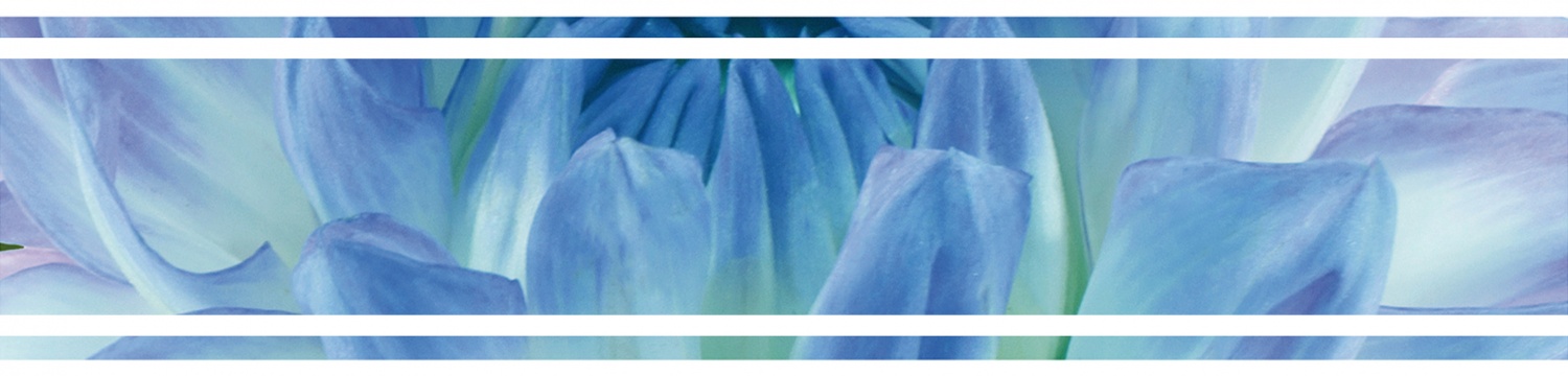  Listwa Bellini Azul производителя CERROL