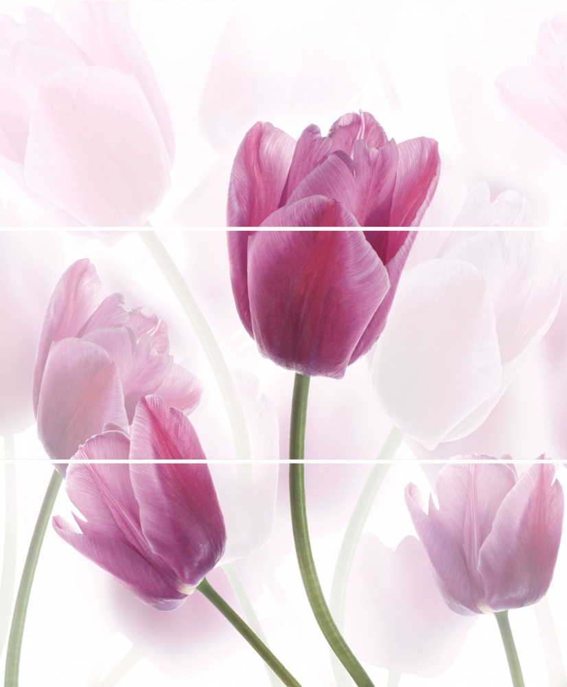  Tulipany/Tulipa производителя CERROL